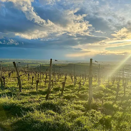 Apartman Urlaubsapartment Suedsicht